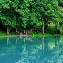 喇叭河风景区 - 雅安市旅游 缩略图 9