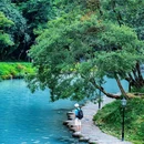 喇叭河风景区 - 雅安市旅游 缩略图 7