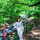 石门国家森林公园 - 广州市旅游 缩略图 3