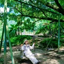石门国家森林公园 - 广州市旅游 缩略图 1