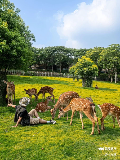 金牛湖野生动物王国 - 南京市旅游