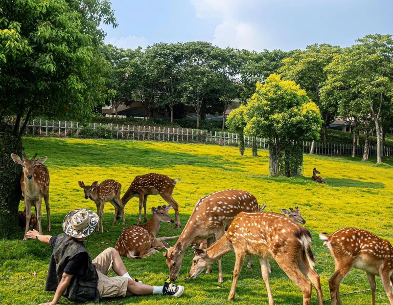 金牛湖野生动物王国 - 南京市旅游 1