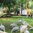金牛湖野生动物王国 - 南京市旅游 缩略图 2
