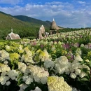 丽江听花谷(百花园) - 丽江市旅游 缩略图 3