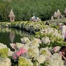 丽江听花谷(百花园) - 丽江市旅游 缩略图 2