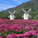 丽江听花谷(百花园) - 丽江市旅游 缩略图 7