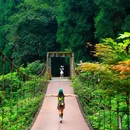 回龙沟风景旅游区 - 成都市旅游 缩略图 5