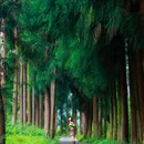 回龙沟风景旅游区 - 成都市旅游 缩略图 6