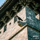 嘉峪关-关城 - 嘉峪关市旅游 缩略图 6