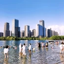 天鹅湖 - 合肥市旅游 缩略图 5