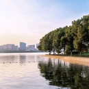天鹅湖 - 合肥市旅游 缩略图 6