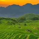 云和梯田景区 - 丽水市旅游 缩略图 5