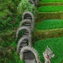 云和梯田景区 - 丽水市旅游 缩略图 2