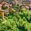云和梯田景区 - 丽水市旅游 缩略图 9