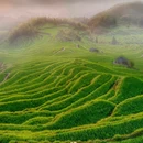 云和梯田景区 - 丽水市旅游 缩略图 6