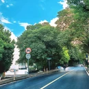 中国包公园 - 合肥市旅游 缩略图 4