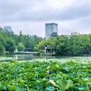 中国包公园 - 合肥市旅游 缩略图 7