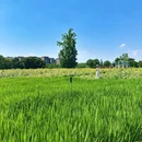 成都市农科村旅游景区 - 成都市旅游 缩略图 7