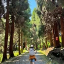 仙峰山 - 宜宾市旅游 缩略图 5