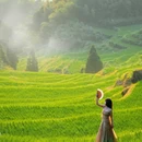 云和梯田景区 - 丽水市旅游 缩略图 3