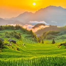 云和梯田景区 - 丽水市旅游 缩略图 4