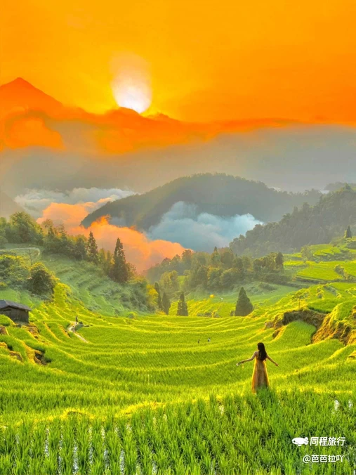 云和梯田景区 - 丽水市旅游