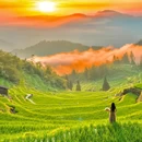 云和梯田景区 - 丽水市旅游 缩略图 9