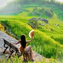 云和梯田景区 - 丽水市旅游 缩略图 8