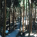 仙峰山 - 宜宾市旅游 缩略图 5