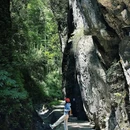 仙峰山 - 宜宾市旅游 缩略图 6