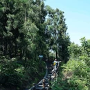 仙峰山 - 宜宾市旅游 缩略图 9