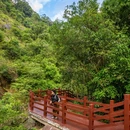 广州市白江湖森林公园 - 广州市旅游 缩略图 2