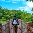 广州市白江湖森林公园 - 广州市旅游 缩略图 3