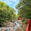 广州市白江湖森林公园 - 广州市旅游 缩略图 4