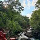 广州市白江湖森林公园 - 广州市旅游 缩略图 5