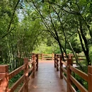 广州市白江湖森林公园 - 广州市旅游 缩略图 7