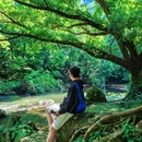 石门国家森林公园-红叶林 - 广州市旅游 缩略图 1