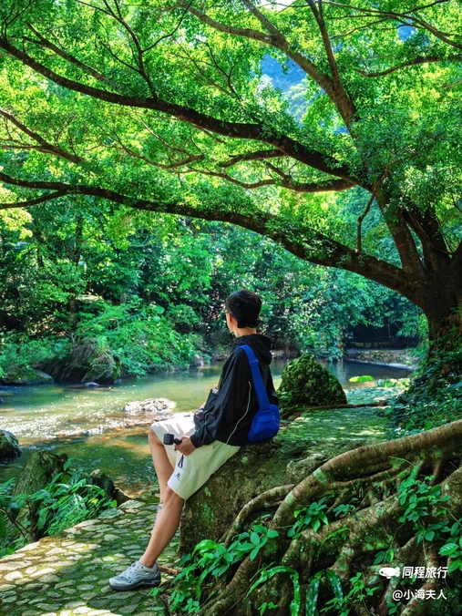 石门国家森林公园-红叶林 - 广州市旅游