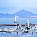 女娲滨海公园 - 深圳市旅游 缩略图 9