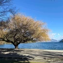 皇后镇 - 新西兰旅游 缩略图 3