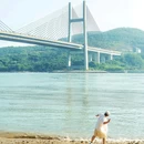 青马大桥 - 香港特别行政区旅游 缩略图 2