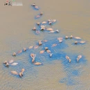 东台西溪天仙缘景区 - 盐城市旅游 缩略图 7