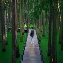 杭州西湖风景名胜区-曲院风荷 - 杭州市旅游 缩略图 5
