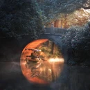 杭州西湖风景名胜区-曲院风荷 - 杭州市旅游 缩略图 3