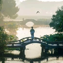 杭州西湖风景名胜区-曲院风荷 - 杭州市旅游 缩略图 7