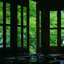 杭州西湖风景名胜区-曲院风荷 - 杭州市旅游 缩略图 8