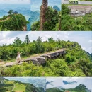 仙女山国家森林公园 - 重庆市旅游 缩略图 9