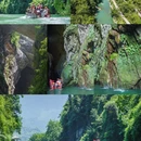仙女山国家森林公园 - 重庆市旅游 缩略图 4