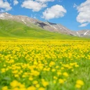 五媳妇沟 - 伊犁哈萨克自治州旅游 缩略图 5