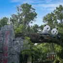 安吉竹博园 - 湖州市旅游 缩略图 3